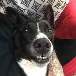 Meet your Posher, Nicholas